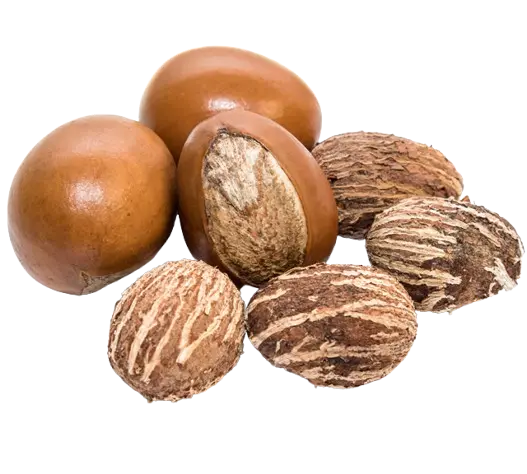 OurShea-Ethically Sourced Shea Nuts
